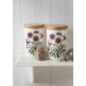 Botanic Garden Container with Lid 12.5x9.5cm (assorted patterns) - 3