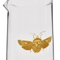 Creatures of Curiosity Carafe + Glass 600ml + 227ml - 2