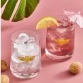 Szklanka Creatures of Curiosity 312ml - 3