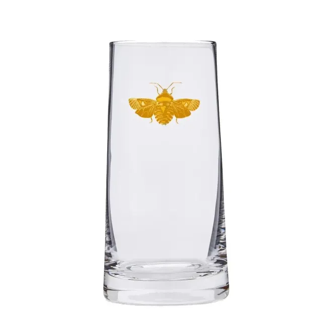 Creatures of Curiosity Glass 426ml