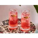 Creatures of Curiosity Glass 426ml - 2