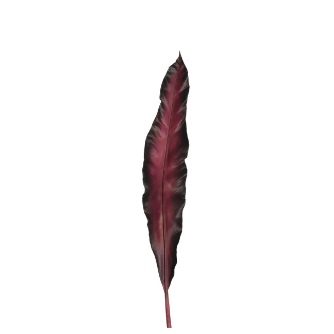 Liść 75cm Fiore ciemnoczerwony
