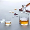 Ambrogio Whiskey Carafe + Glasses Set - 2