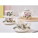 Cup with Saucer Botanic Garden 200ml for Tea - Common Vetch - 2