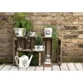 Cup with Saucer Botanic Garden 500ml for Breakfast - Sweet William - 2