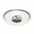Bowl Botanic Garden 17.5cm - Daisy - 1