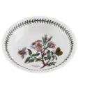 Plate Botanic Garden 21.5cm for Pasta - Dog Rose - 1