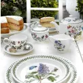 Plate Botanic Garden 26.5cm dinner - Sweet Pea - 4