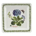 Square Plate Botanic Garden 18cm - Blue Primrose - 1