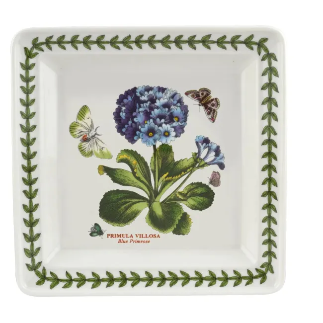 Square Plate Botanic Garden 18cm - Blue Primrose - 1