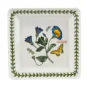 Plate Botanic Garden 18cm dessert - Trailing Bendweed - 1