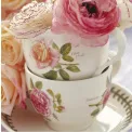 Filiżanka ze spodkiem Botanic Roses 200ml do herbaty Tamora Peach - 3