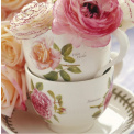 Teacup with Saucer Botanic Roses 200ml - Tamora Peach - 2