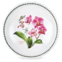 Misa Exotic Botanic Garden 33cm Moth Orchid