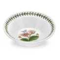 Bowl Exotic Botanic Garden 16.5cm - Bird of Paradise