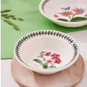 Bowl Exotic Botanic Garden 16.5cm - Moth Orchid - 3