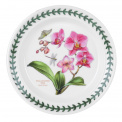 Plate Exotic Botanic Garden 18cm dessert - Moth Orchid - 1