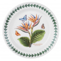 Plate Exotic Botanic Garden 21.5cm breakfast - Bird of Paradise - 1