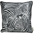 Poduszka Velvet Zebra Black 45x45cm 