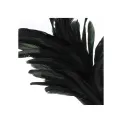 Feather Decoration 75cm Black - 2