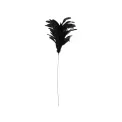 Feather Decoration 75cm Black - 1