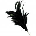 Feather Decoration 75cm Black - 3