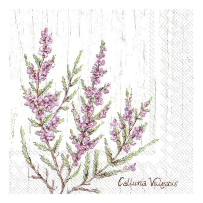 Napkins 25x25cm Calluna Vulgaris 20pcs.