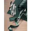 Facher Cutlery Set 66 pieces (12 people) - 11