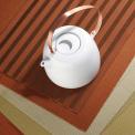 PVC Placemat 33x46 in terracotta - 2