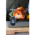 Instant Digital Thermometer up to 250°C - 5