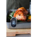 Instant Digital Thermometer up to 250°C - 8