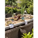 Platter 20cm - 6