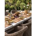 Platter 20cm - 5