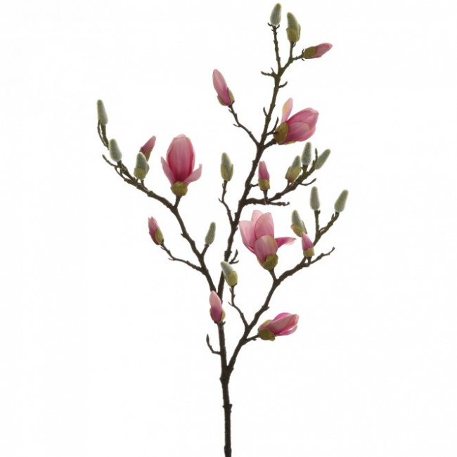 Gałązka Magnolia 101cm  - 1
