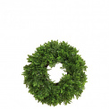 Boxwood Wreath 25cm - 1