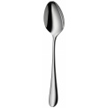 Merit Table Spoon - 1