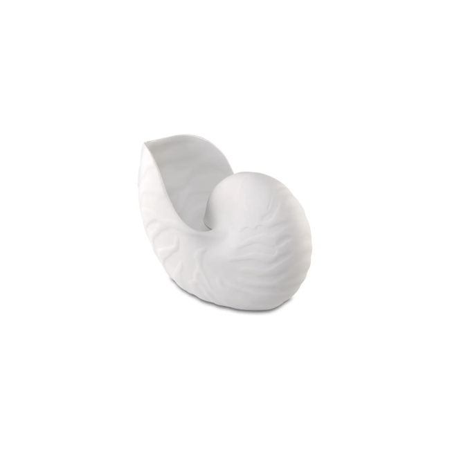 Conch Vase 25x19.5cm