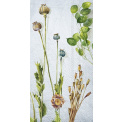 Serwetki 33x42cm Wilbur Light Blue 16szt. - 1