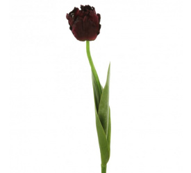 Tulipan 46cm