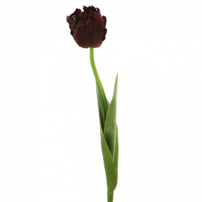 Tulipan 46cm