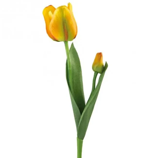 Tulipan Mona 34cm