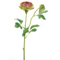 Violet-Green Ranunculus 44cm - 1