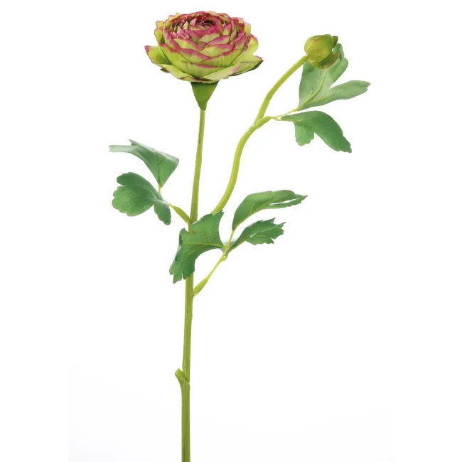 Violet-Green Ranunculus 44cm - 1