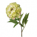 Kwiat Peonia 80cm - 1