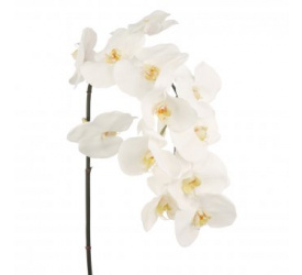 Gałązka Orchidea 112cm