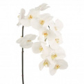 Gałązka Orchidea 112cm - 1
