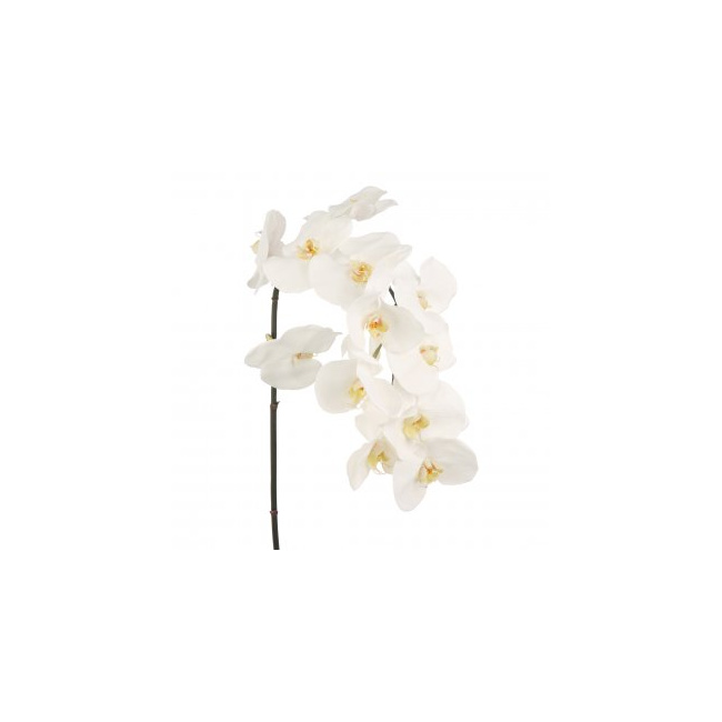 Gałązka Orchidea 112cm