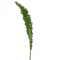 Liść podłużny 105cm