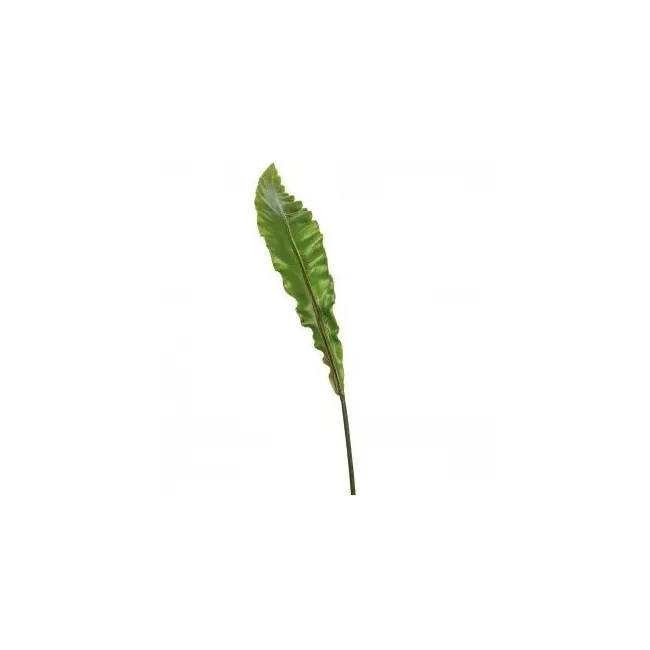 Liść podłużny 91cm