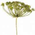 Sedum Flower 104cm - 1